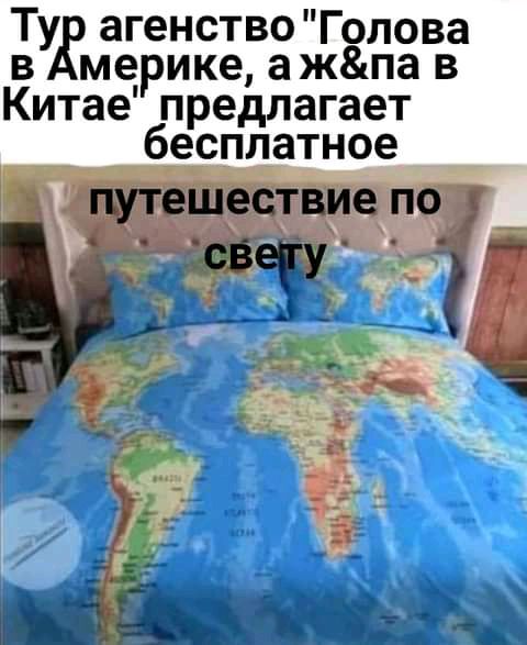 Туя агенство Голова в мерике ажпа в Китае предлагает бесплатное _