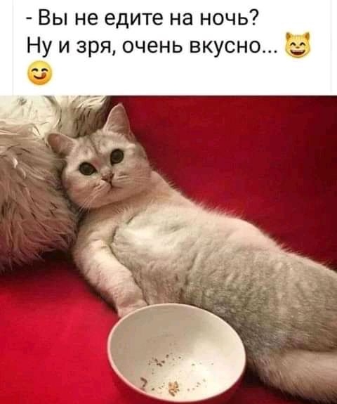 Вы не едите на ночь Ну и зря очень вкусно