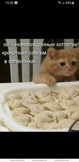 и за Ч и или