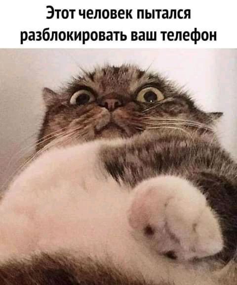 Этот человек пытался разблокировать ваш телефон