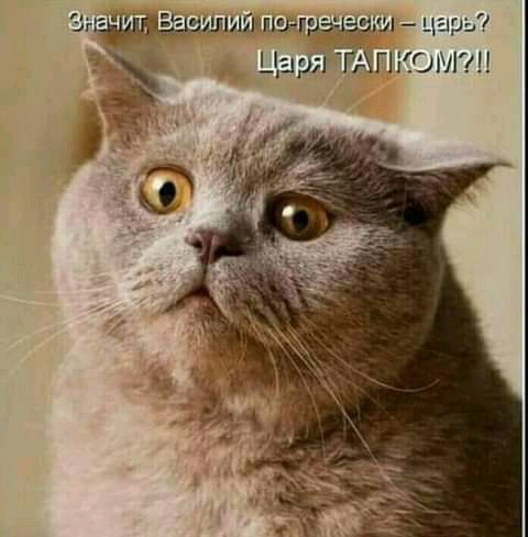 Зэшімияш царь цщйгддгнюмпн