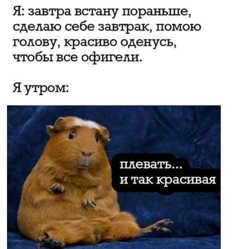 Я завтра встану пораньше сделаю себе завтрак помою голову красиво оденусъ чтобы все офшеди Я утром мешать И ТЗК красивая