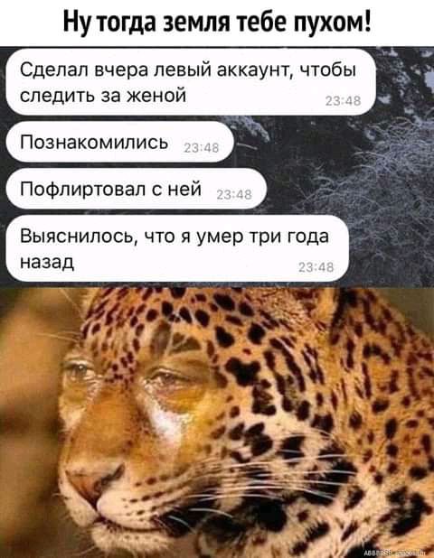 Ну тогда земля тебе пухом Сделал вчера левый аккаунт чтобы следить за женой Познакомились Пофлиртовал с ней Выяснилось что я умер три года назад