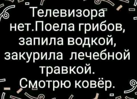 и щ и Телевизорг нетПоела грибов запила водкой закурила лечебной травкой _ Смотрю ковёр Л 3 в