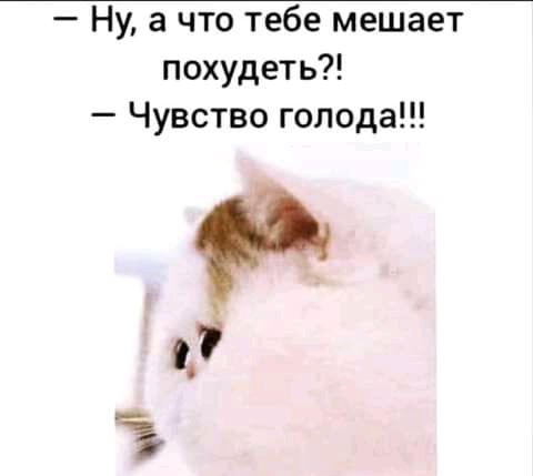 Ну а что тебе мешает похудеть Чувство голода и