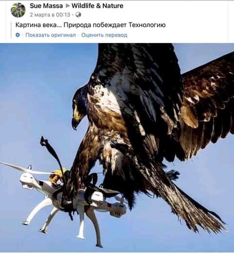 зце мазъа мшше Машге Кашин веха Притчи побежит Техноппшю