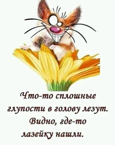 то то сплошные глупости в голову лезут Видно гдето лазейку наши