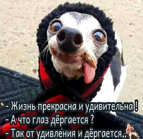 Жизнь прекрасна и удивитдльна А что глаз дёргается 7 Так от удивления и дёргаетсяч