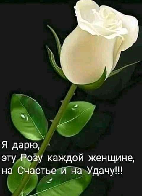 ч3 Я дарю этузу каждой женщине на СчастьейЁзУдачу _ _ _