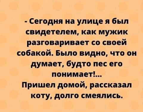 Сегодня на улице я был свидетелем как мужик разговаривает со своей собакой Было видно что он думает будто пес его понимает Пришел домой рассказал коту долго смеялись