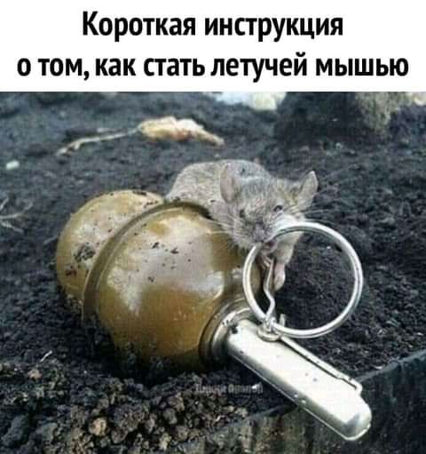 Короткая инструкция 0 том как стать летучей мышью