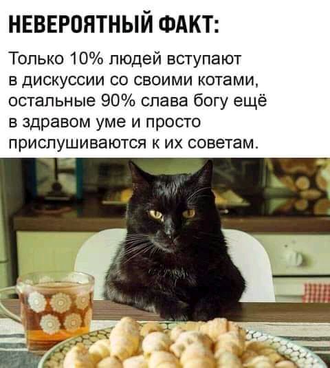 НЕВЕРОНТНЫЙ ФАКТ Только 10 людей вступают в дискуссии со своими котами остальные 90 слава богу ещё в здравом уме и просто прислушиваются к их советам