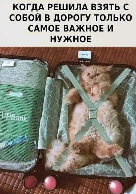КОГд_А РЕШИЛА ВЗЯТЬ С СОБОИ В дОРОГУ ТОЛЬКО САМОЕ ВАЖНОЕ И НУЖНОЕ