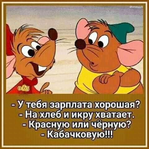 У тебя зарплата хорошая На хлеб и икру хватает Красную или чёрную Кабачковукі