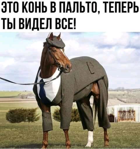 это конь в пдльтп теперь ты виды впн