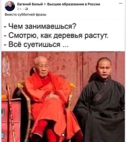 Евгений Белый Высшее абразвнаиив в России вмест статей Фразы Чем занимаешься Смотрю как деревья растут Всё суетишься Г