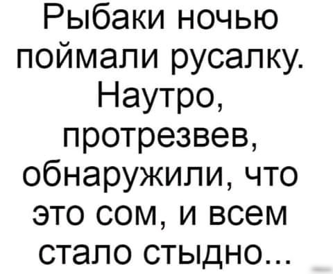 Рыбаки ночью поймали русалку Наутро протрезвев обнаружили что это сом и всем стало стыдно
