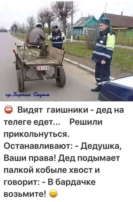 Видят гаишники дед на телеге едет Решили прикольнуться Останавливают Дедушка Ваши права Дед подымает палкой кобыле хвост и говорит В бардачке возьмите