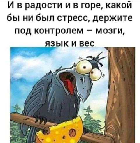 И в радости и в горе какой бы ни был стресс держите под контролем мозги _в_ык и вес