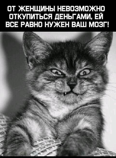 ОТ ЖЕНЩИНЫ НЕВОЗМОЖНО ОТКУПИТЬСЯ дЕНЬГАМИ ЕЙ ВСЕ РАВНО НУЖЕН ВАШ МОЗГ