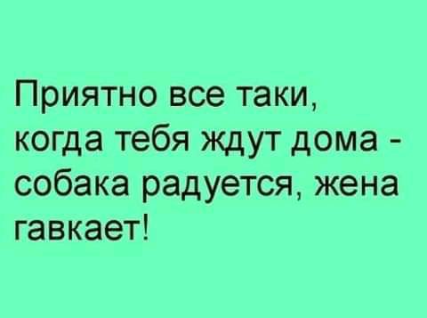 Приятно все таки когда тебя ждут дома собака радуется жена гавкает
