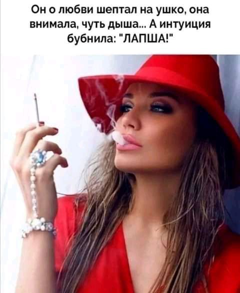 Он о любви шептал на ушко она виимапа чуть дыша А интуиция бубнила ЛАПША