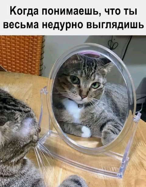 Когда ПОНИМЗВШЬ ЧТО ТЫ весьма недурно ВЫГПЯДИШЬ