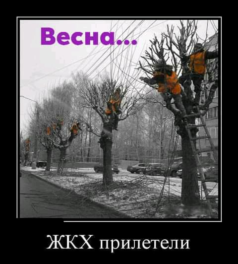 ЖКХ прилетели