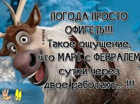 Шютшгою ОФИЩЕТЬШШ Такоёщущениед