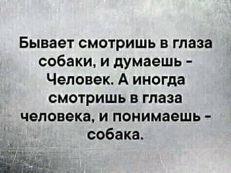 Бывает смотришь в глаза собаки и думаешь Человек А иногда смотришь в глаза человека и понимаешь собака