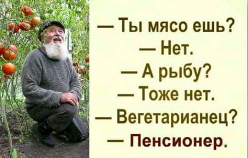 Ты мясо ешь Нет А рыбу Тоже нет Вегетарианец Пенсионер