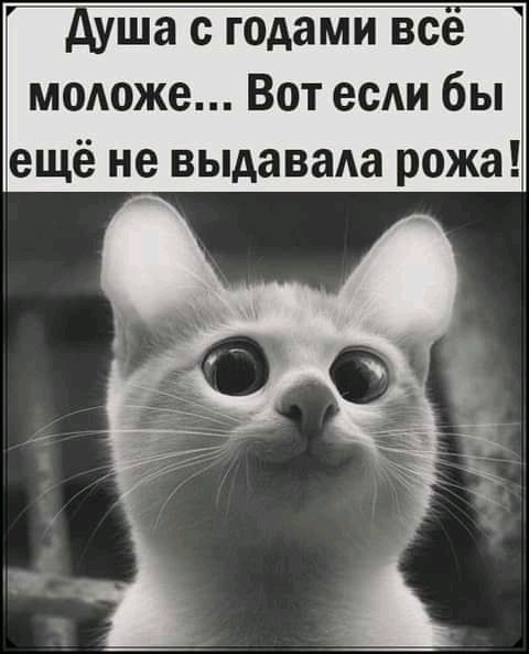 ша с годами все модоже Вот есАи бы ещё не выдавала рожа