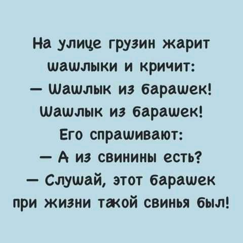 На улице грузин жарит шашлыки и кричит Шашлык из барашек Шашлык из барашек Его спрашивают А из свинины есть Слушай этот барашек при жизни таой свинья был