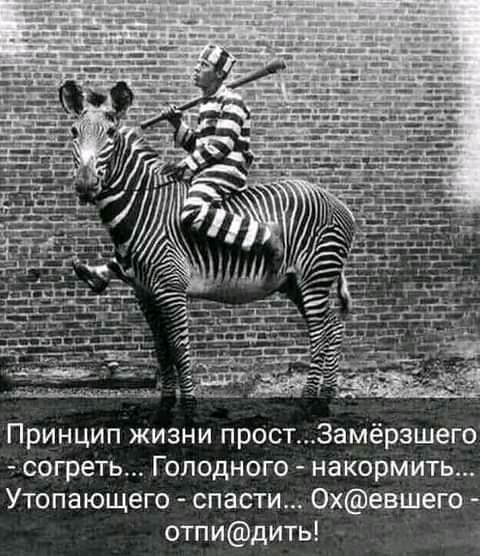 Принцип жизни простЗамёрзшего согреть Голодного накормить Утопающего спасти 0хевшего отпидить