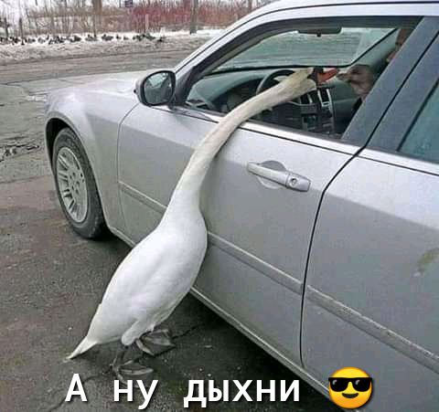 А ну дыхни