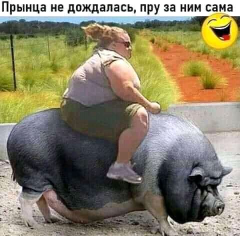 Прынца не дождалась Пру за НИМ сама