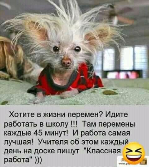 Хотите в жизни перемен Идите работать в школу Там перемены каждые 45 минут И работа самая лучшая Учителя об этом каждый день на доске пишут Классная работа Чд