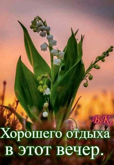 Ё ХОРОШСГО ОТДЬ1Х3 в этот вечер