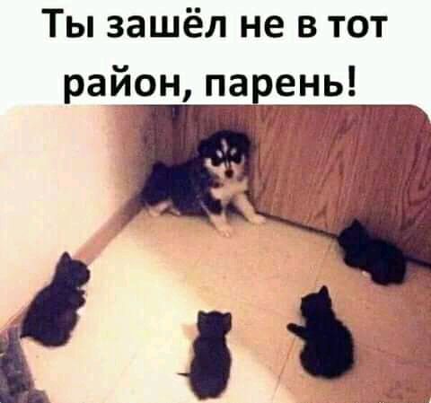 Ты зашёл не в тот район парень
