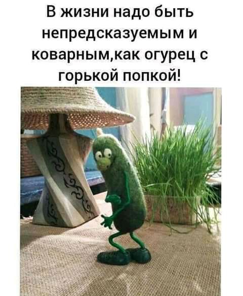 В жизни надо быть непредсказуемым и коварнымкак огурец с горькой попкой