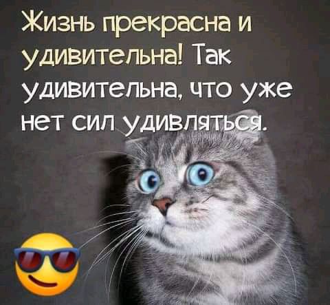 Жизнь прекрасна и удивительна Так удивительна что уже