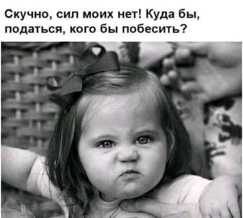 Скучно сип моих нет Куда бы податься кого бы побесить