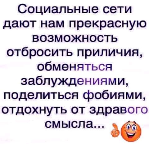 Социальные сети дают нам прекрасную возможность отбросить приличия обменяться заблуждениями поделиться фобиями отдохнуть от здравого смысла за