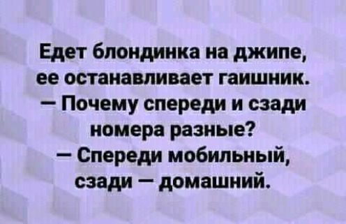Едет блондинка на джипе ее останавливает гаишник Почему спереди и сзади номера разные Спереди мобильный сзади домашний