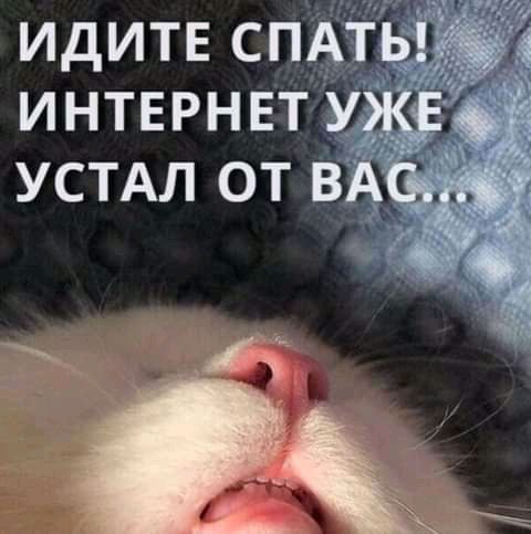 ИНТЕРНЕТ жди