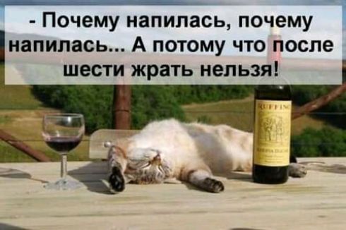 __ Почему напилась ПОЧЕМУ напилась А потому что после шести жрать нельзя