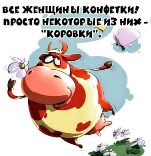 вс жнищии ы конфетки просто инкотор ы из итс коровки