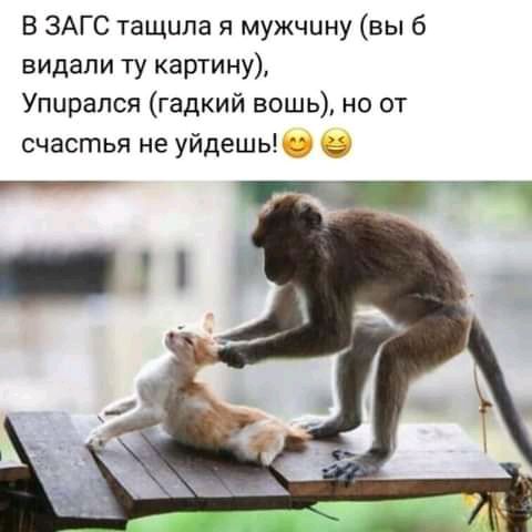 В ЗАГС тащила я мужчину вы 6 видали ту картину Упирапся гадкий вошь но от счастья не уйдешь _у а
