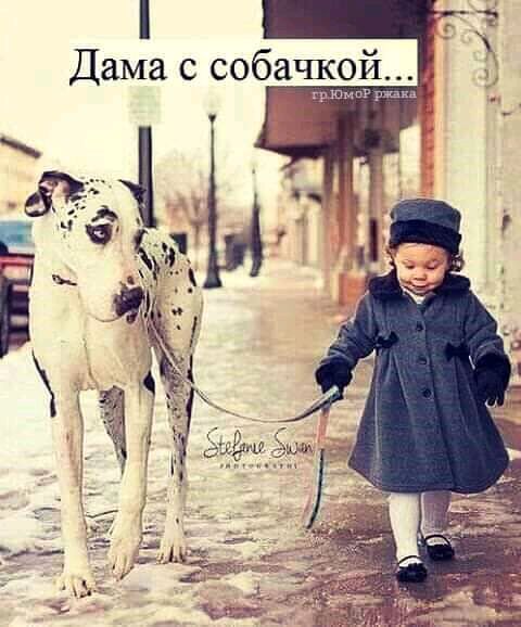 Дама с собачкой крюкШР радхд