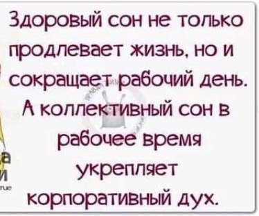 Здоровый сон не только продлевает жизнь но и сокращает рабочий день А коллективный сон в рабочее время укрепляет корпоративный дух